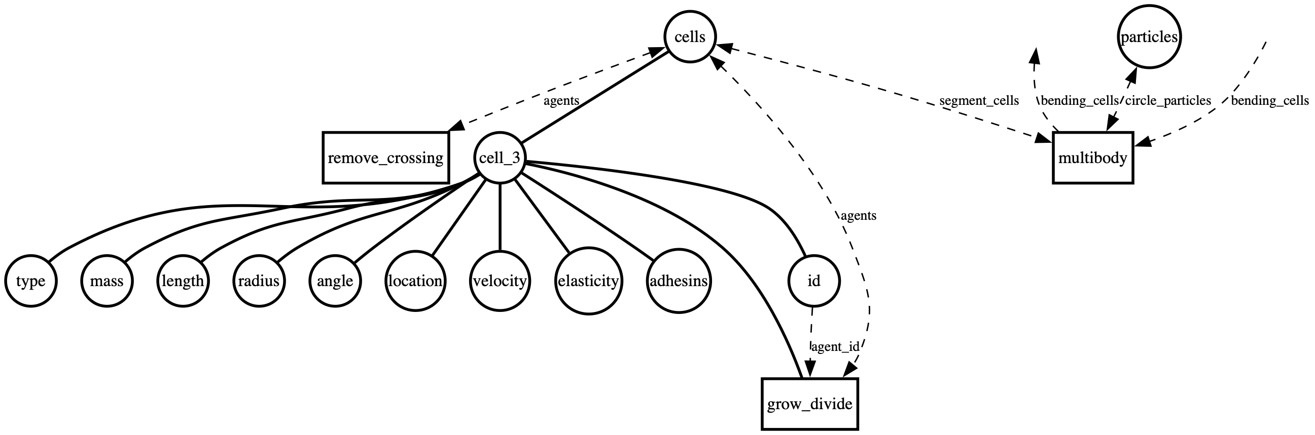 mother_machine bigraph